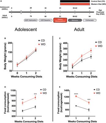 Adolescent Vulnerability to Heightened <mark class="highlighted">Emotional Reactivity</mark> and Anxiety After Brief Exposure to an Obesogenic Diet